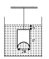 Mechanical Properties of Solids and Fluids mcq question image